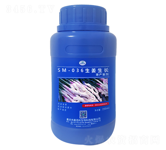 SM-036生姜生長(zhǎng)增產(chǎn)制劑（250ml）-嘉佰利生物