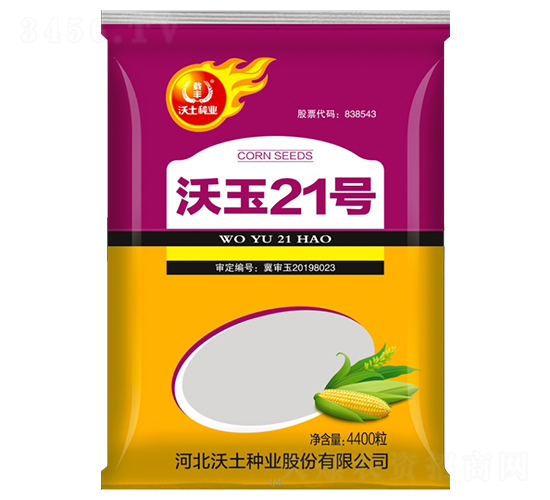 沃玉21號-玉米種子-沃土種業(yè)