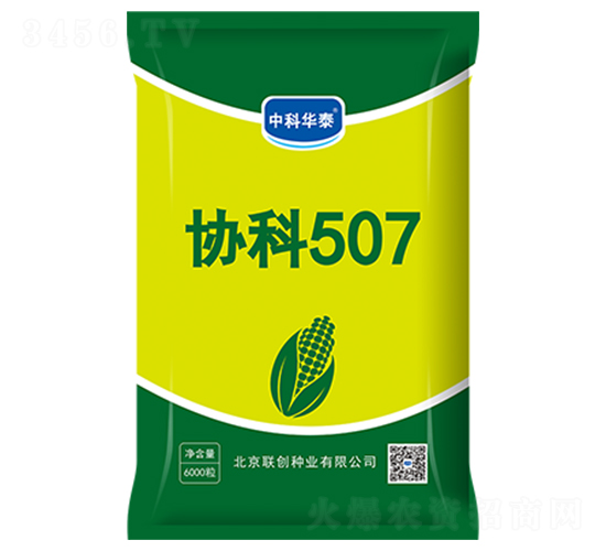 協(xié)科507-玉米種子-聯(lián)創(chuàng)種業(yè)