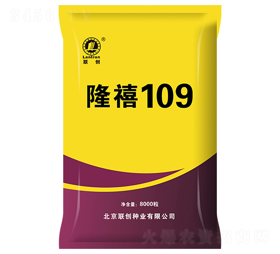 隆禧109-玉米種子-聯(lián)創(chuàng)種業(yè)