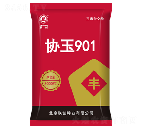 協(xié)玉901-玉米種子-聯(lián)創(chuàng)種業(yè)