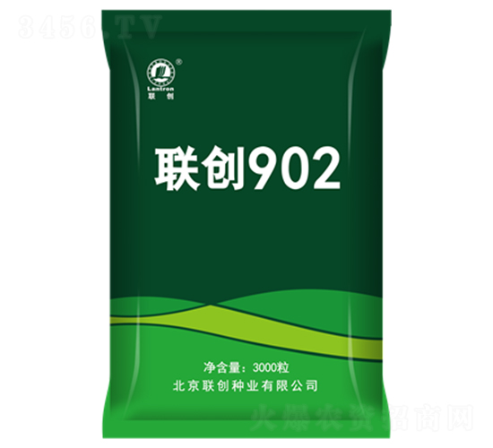 聯(lián)創(chuàng)902-玉米種子-聯(lián)創(chuàng)種業(yè)