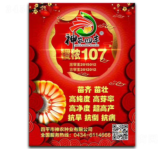 稷秾107-玉米種子-神農(nóng)種業(yè)