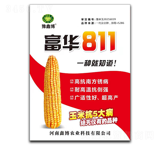 富華811-玉米種子-鑫博農(nóng)業(yè)