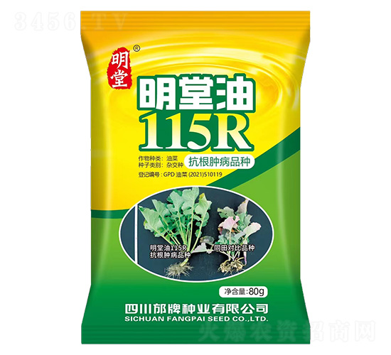 明堂油115R-邡牌種業(yè)