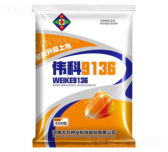 玉米種子-偉科9136-研創(chuàng)種業(yè)