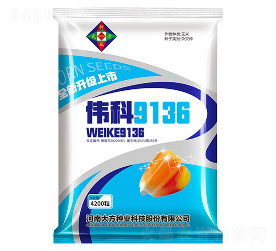 偉科9136-玉米種子-研創(chuàng)種業(yè)