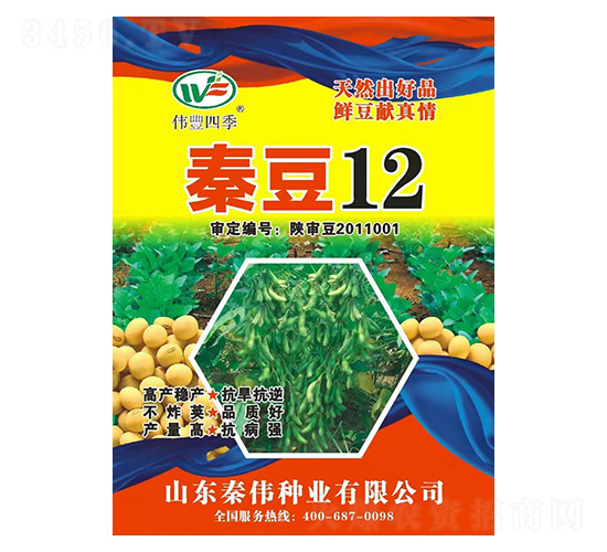 大豆種子-秦豆12-偉豐種業(yè)