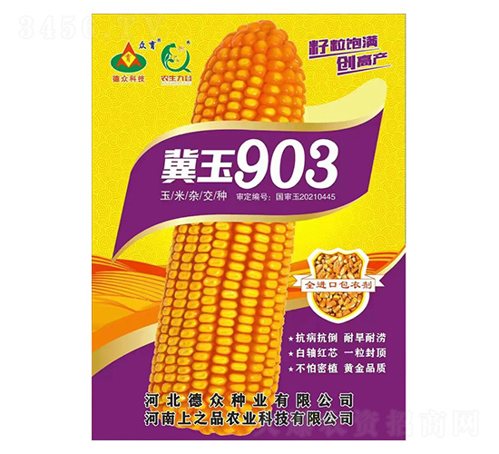 玉米種子-冀玉903-上之品農(nóng)業(yè)