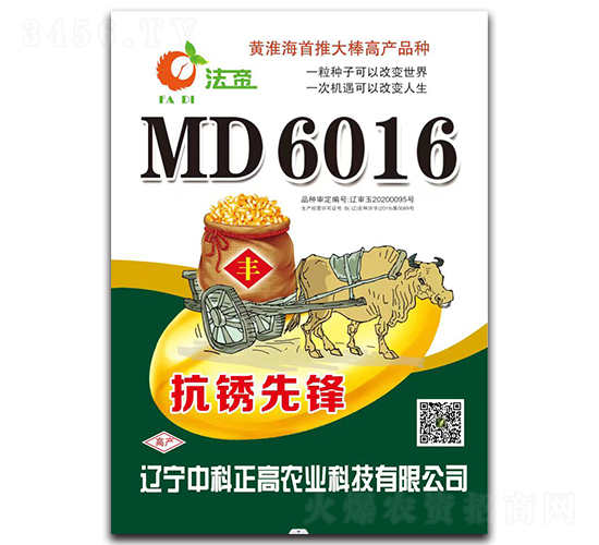 MD6016（抗銹先鋒）-玉米種子-中科正高