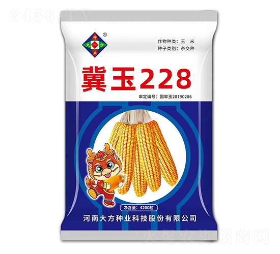 玉米種子-冀玉228-研創(chuàng)種業(yè)