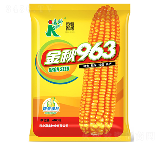 金秋963-玉米種子-嘉科