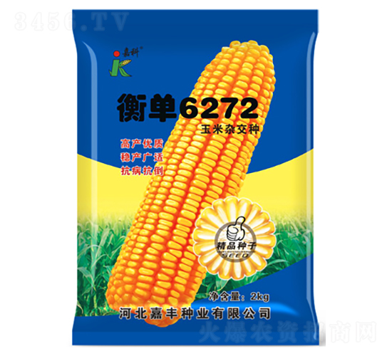 衡單6272-玉米種子-嘉科