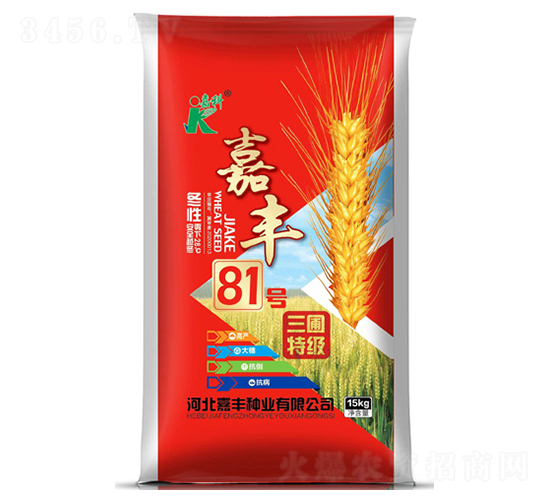 嘉豐81號(hào)-小麥種子-嘉科