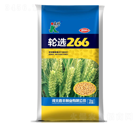 輪選266-小麥種子-嘉科