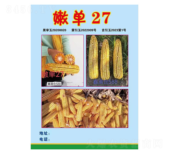 玉米種子-嫩單27-久翔農(nóng)業(yè)