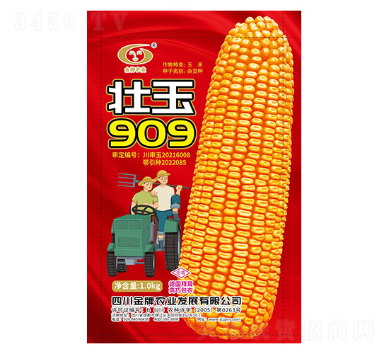 玉米種子-壯玉909-金牌農(nóng)業(yè)