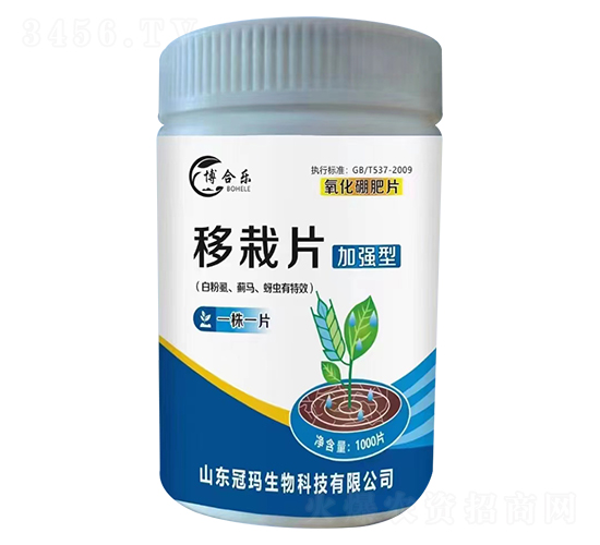 移栽片（白粉虱、薊馬、蚜蟲有效）-博合樂-冠瑪生物