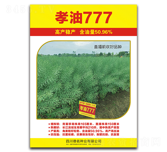 孝油777-油菜種子-德名種業(yè)