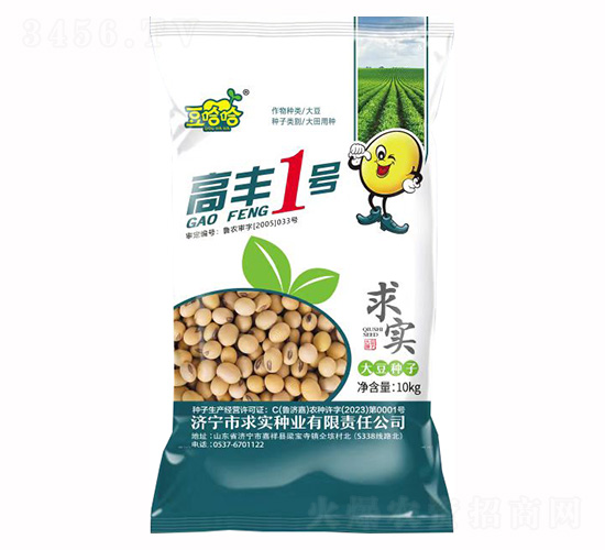 高豐1號-豆哈哈-求實種業(yè)