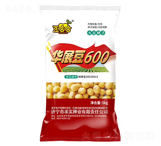 華展豆600-豆哈哈-求實種業(yè)