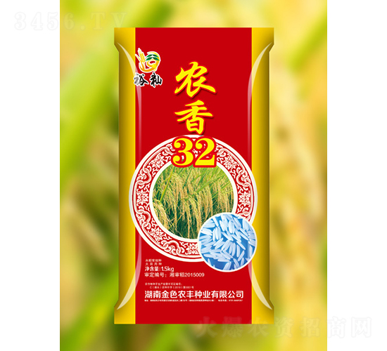 農(nóng)香32-水稻種子-金色農(nóng)豐