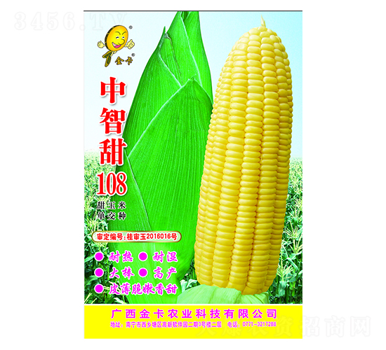 中智甜108-玉米種子-金卡農(nóng)業(yè)