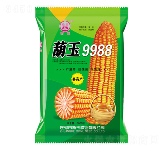 葫玉9988玉米種子-新玉種業(yè)