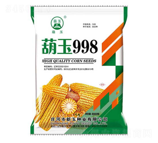 葫玉998-玉米種子-新玉種業(yè)