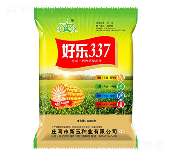 好樂337-玉米種子-新玉種業(yè)