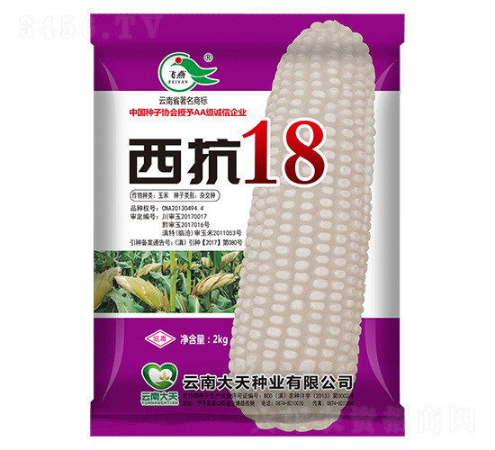 玉米種子-西抗18-大天種業(yè)