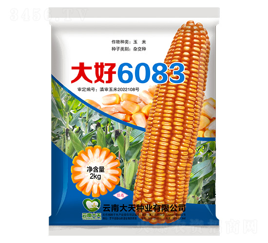 玉米種子-大好6083-大天種業(yè)