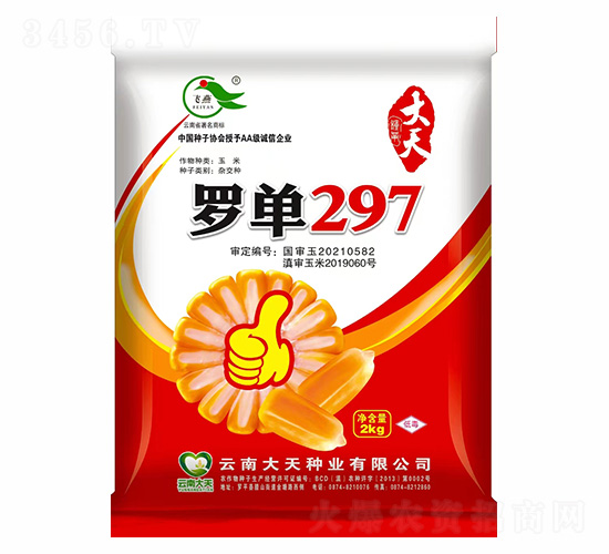 玉米種子-羅單297-大天種業(yè)