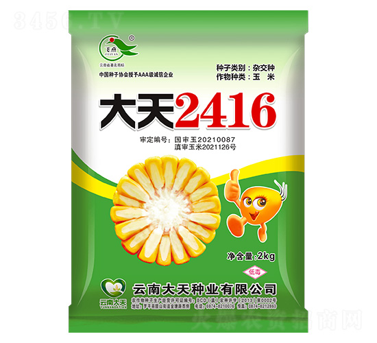 玉米種子-大天2416-大天種業(yè)