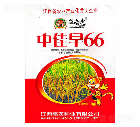 中佳早66-華南虎-惠農(nóng)種業(yè)