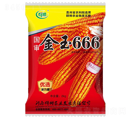 國審金玉666-玉米種子-群帥