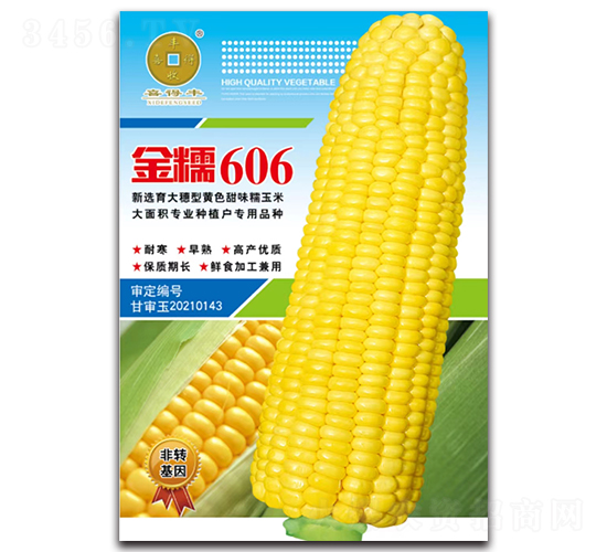 純黃糯金糯606-玉米種子-華為種業(yè)