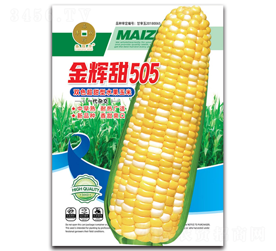 金輝甜505-玉米種子-華為種業(yè)