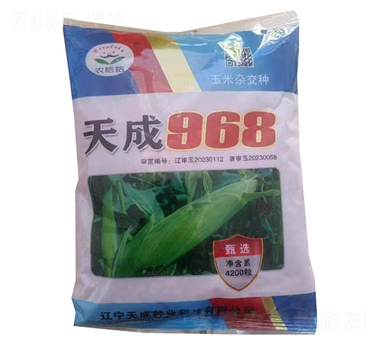 天成968-玉米種子-農(nóng)哈哈-天成種業(yè)