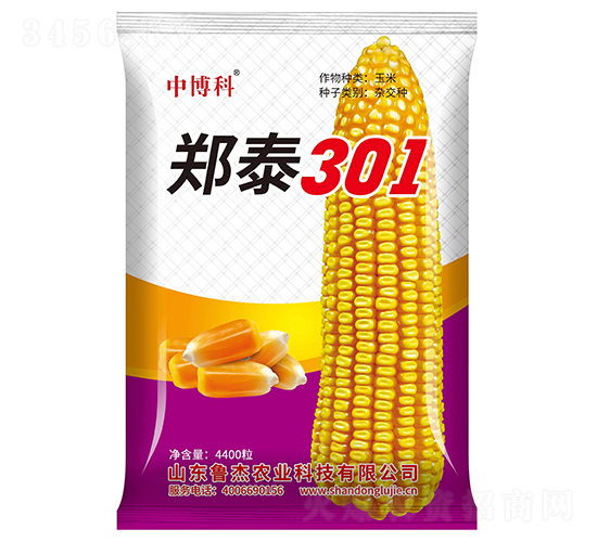 鄭泰301玉米種子-中博科-魯杰農(nóng)業(yè)