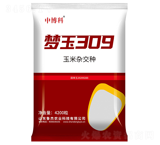 夢玉309玉米種子-中博科-魯杰農(nóng)業(yè)