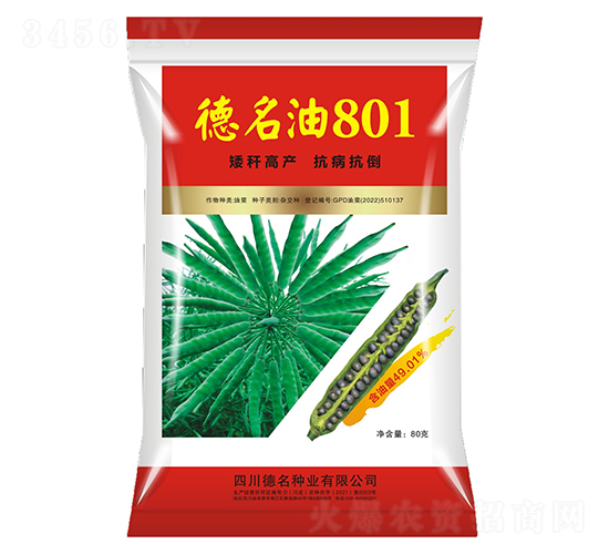 德名油801-油菜種子-德名種業(yè)