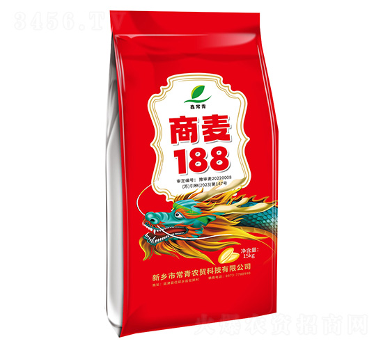 商麥188-小麥種子-常青農(nóng)貿(mào)