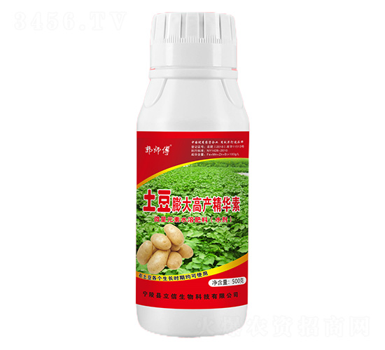 土豆膨大高產(chǎn)精華素-郭師傅-立信生物