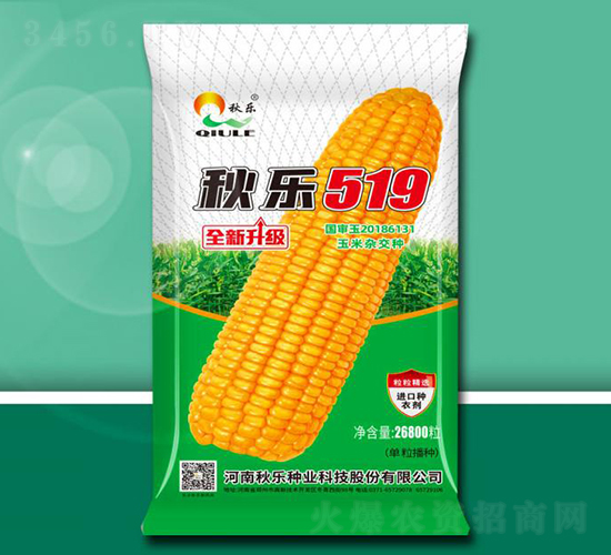 秋樂519-玉米種子-秋樂種業(yè)