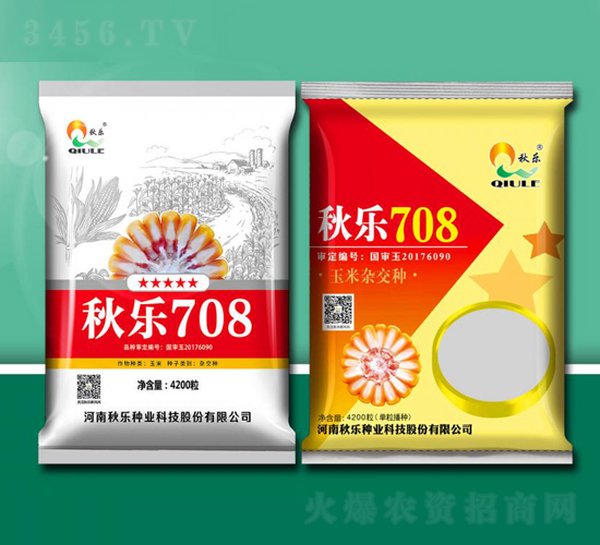 秋樂708-玉米種子-秋樂種業(yè)