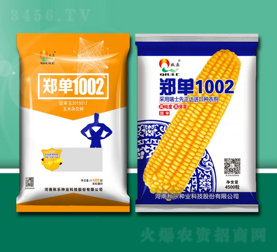 鄭單1002-玉米種子-秋樂(lè)種業(yè)