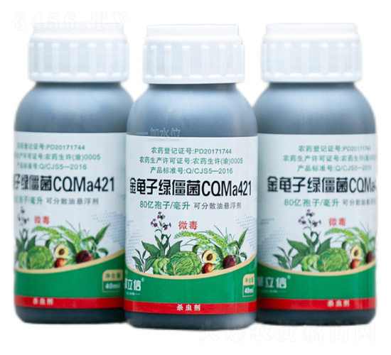 金龜子綠僵菌CQMa421油懸浮劑-聚立信生物