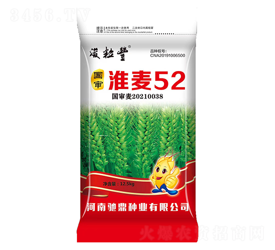 國審淮麥52（12.5kg）-小麥種子-馳鼎種業(yè)