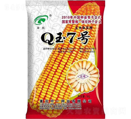 Q玉7號-玉米種子-神農科技